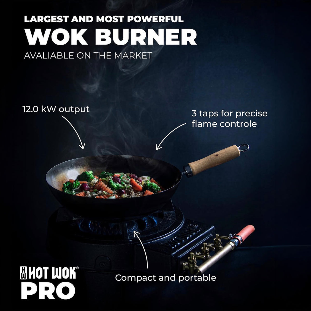 HOT WOK Professional 12 kW