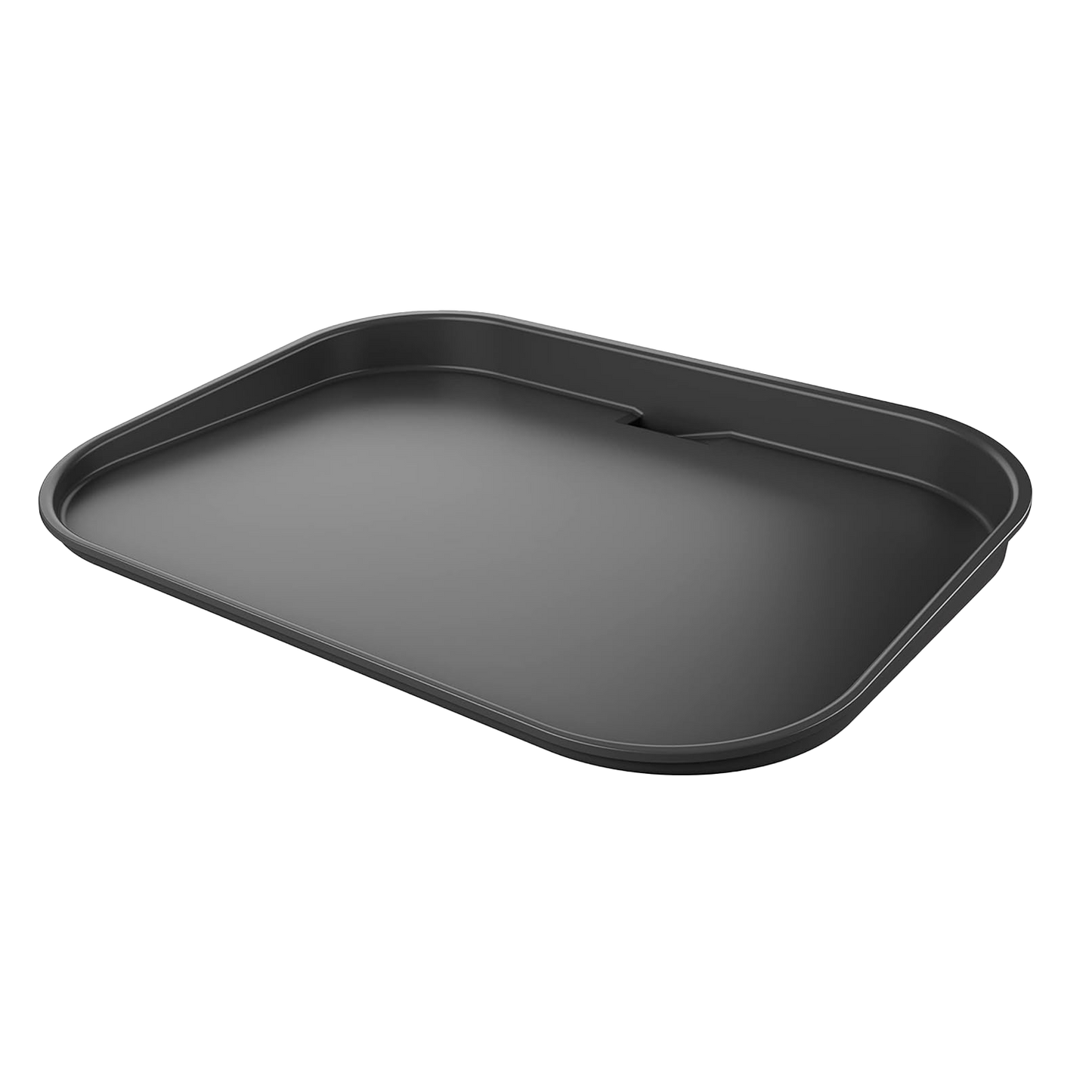 Ninja Woodfire Plancha