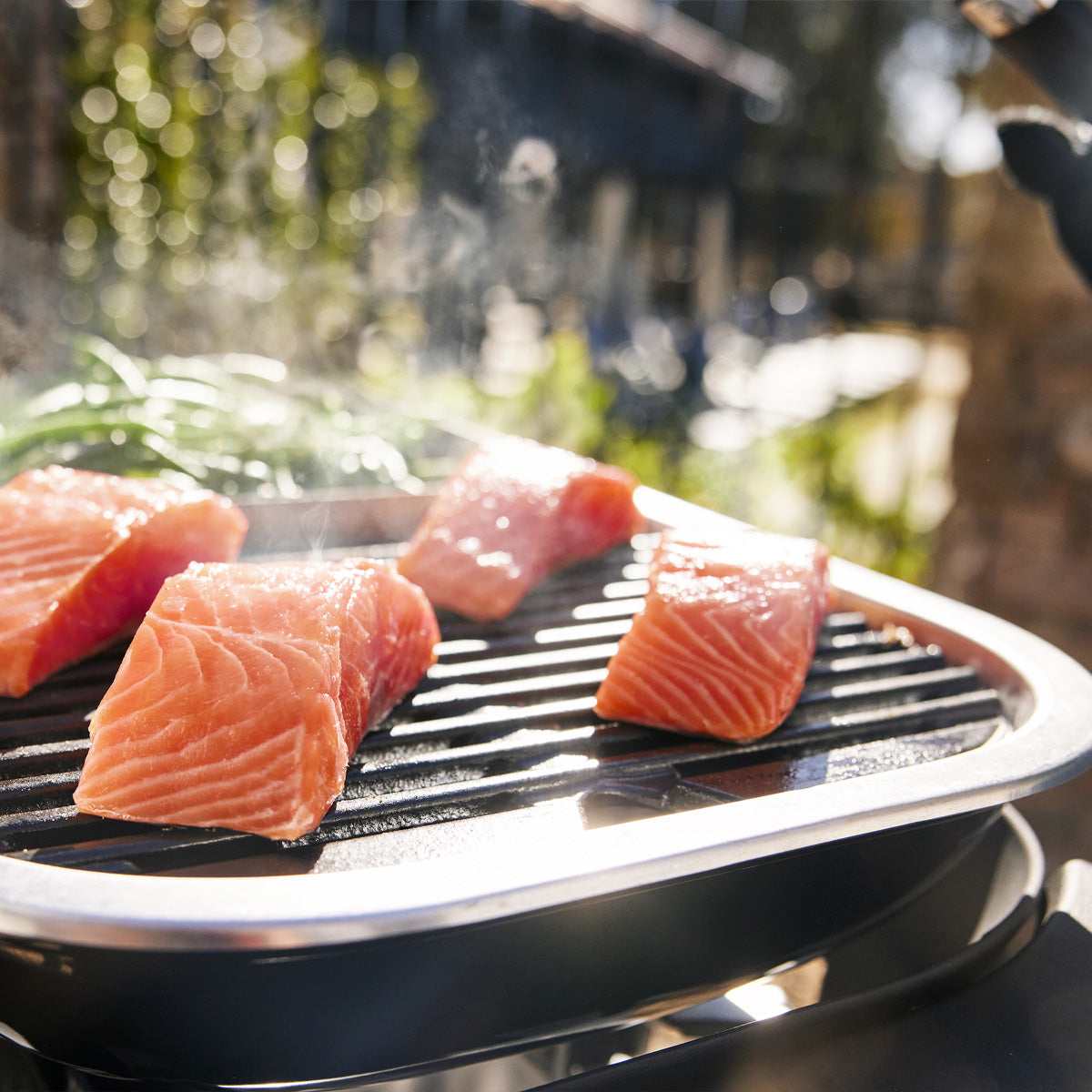 Weber Lumin Compact Elektrogrill